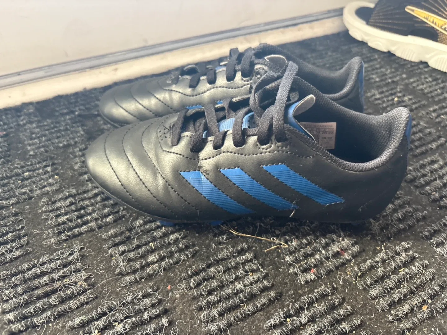 Adidas Black & Blue Soccer Cleats image indicator(2)