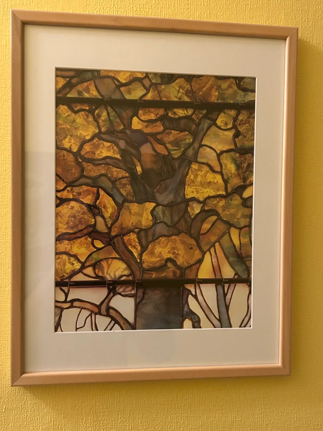 3 framed prints of Tiffany windows, about 14x18 image indicator(2)