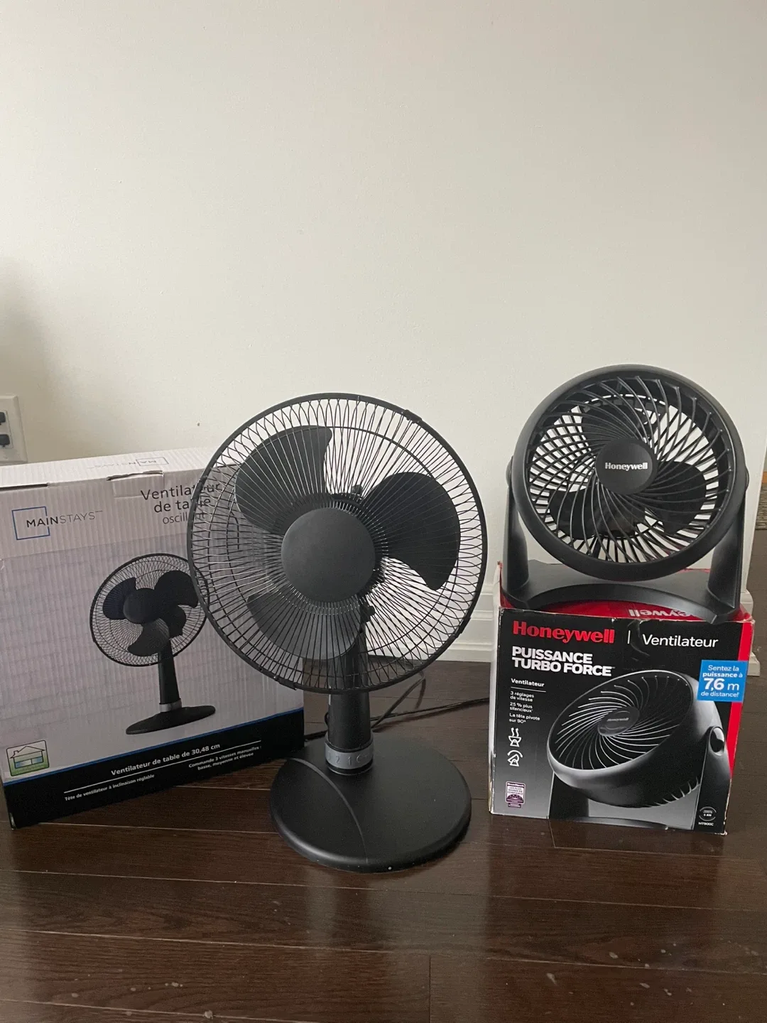 2 Table Fans & 1 Floor Lamp