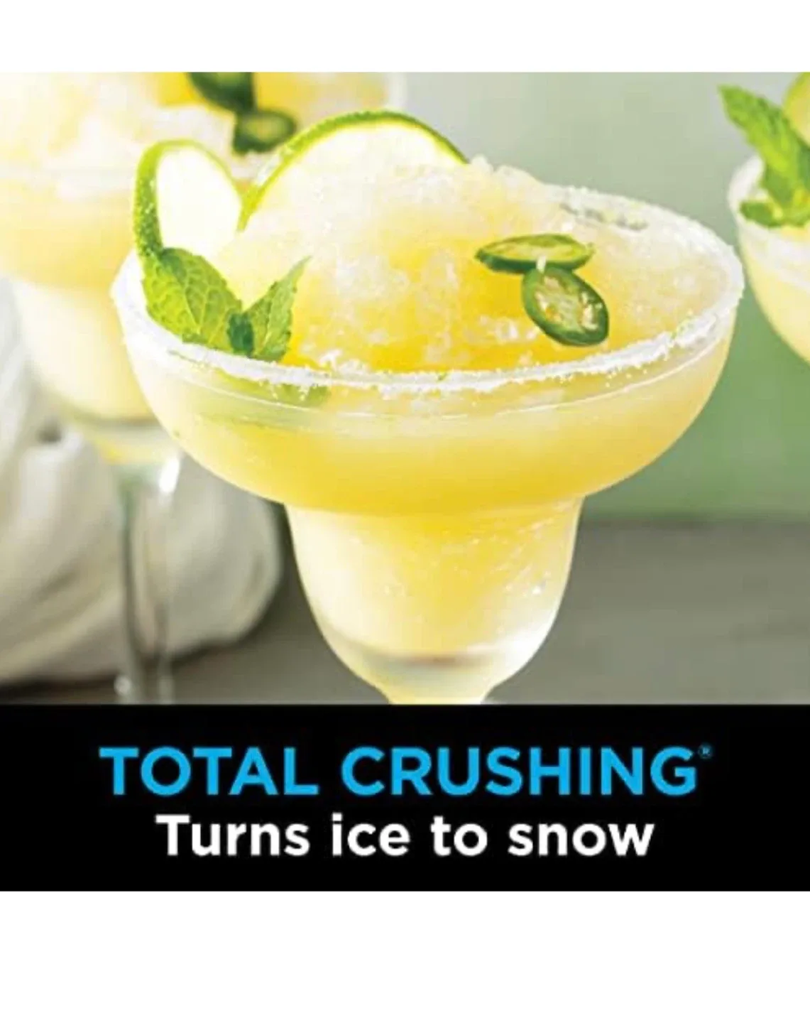 Ninja Professional 1000 Watts Blender image indicator(5)