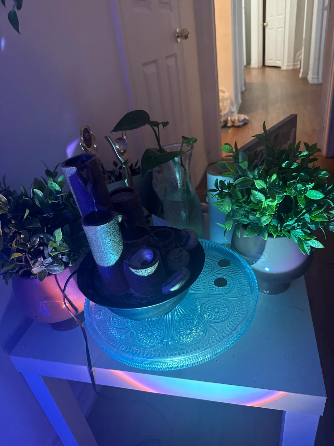 Indoor Hanging Plant image indicator(2)