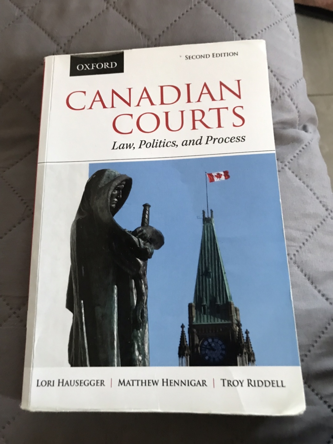 4 Canadian Law & Criminal Justice Books - photo 4