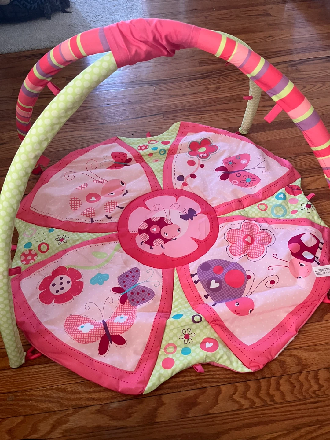 Bright Starts Giggle Garden Activity Gym with Carrying Case