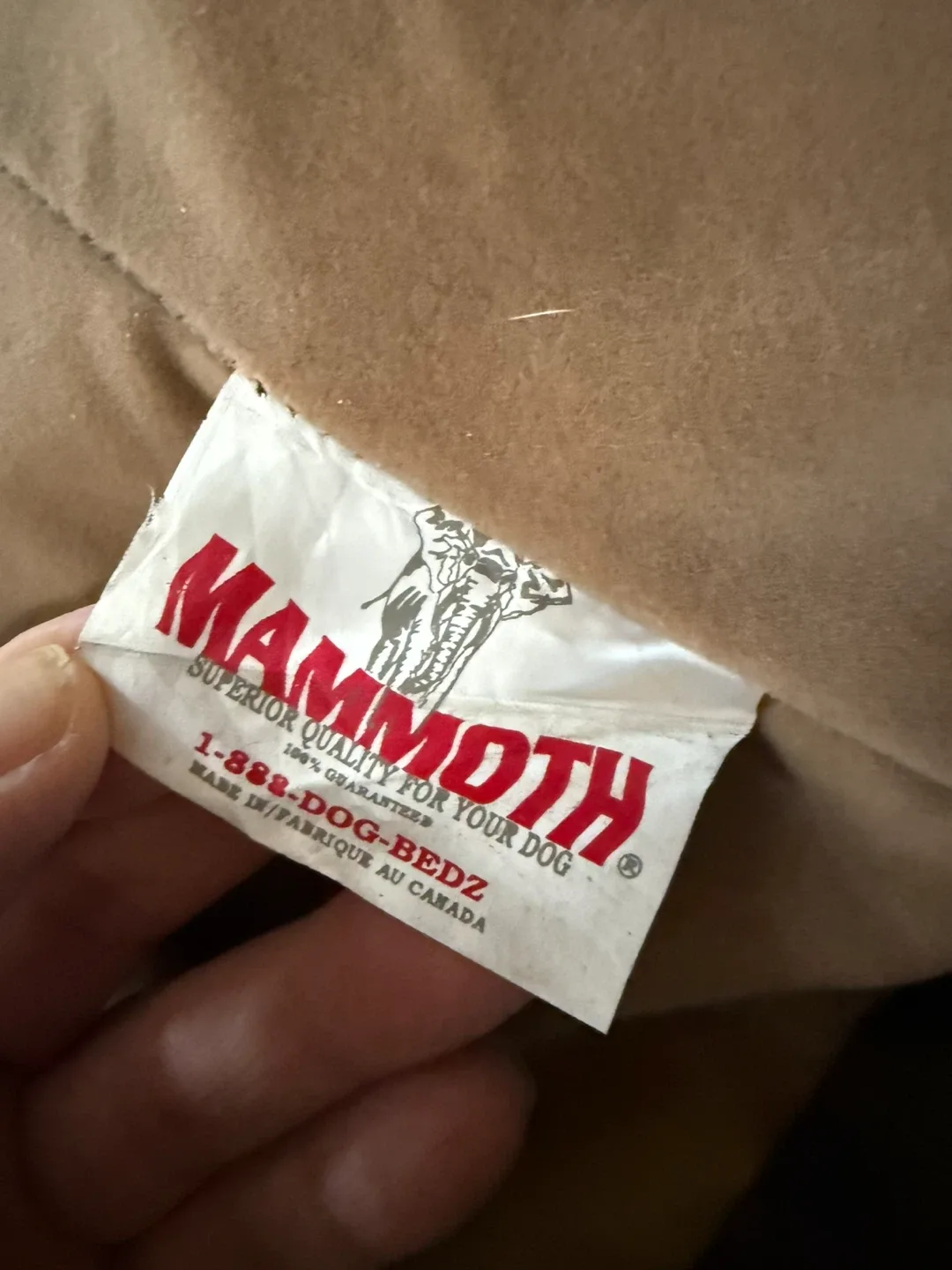 Mammoth X-Large luxury Dog Bed image indicator(4)