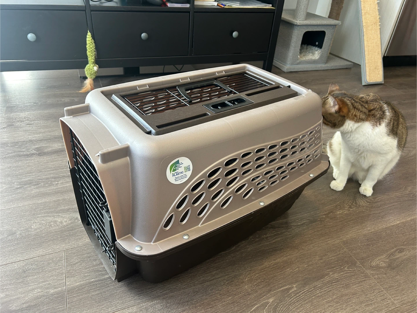 Pet Carrier (Cat not included 🐱) - photo 5