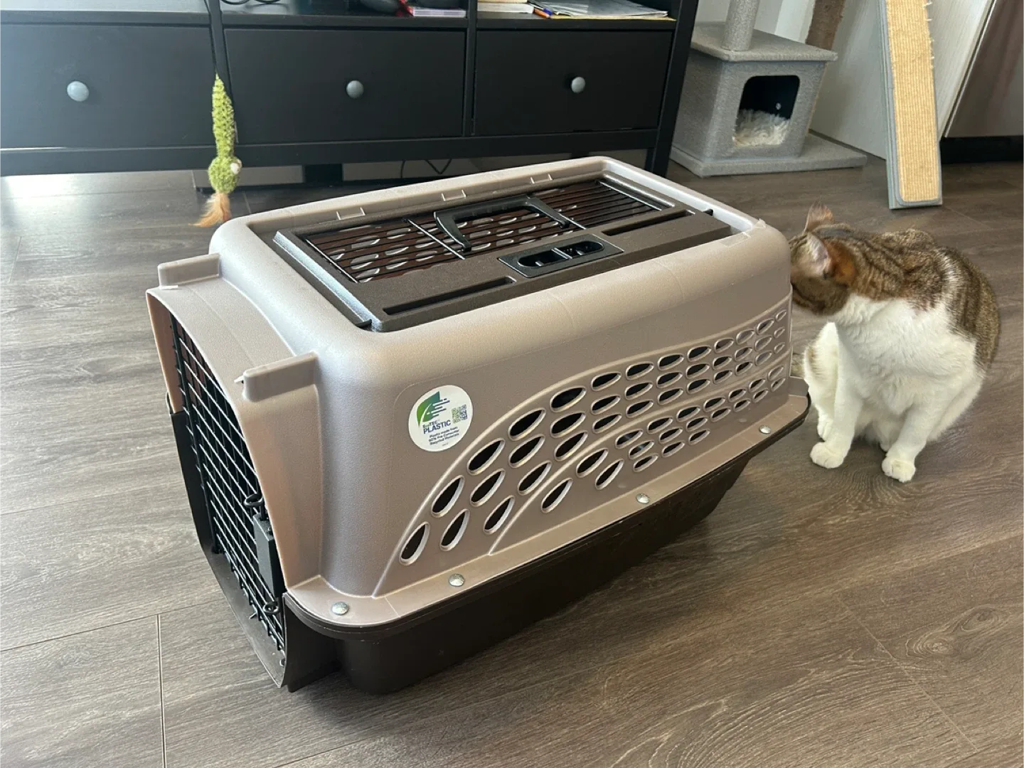 Pet Carrier (Cat not included 🐱) image indicator(5)
