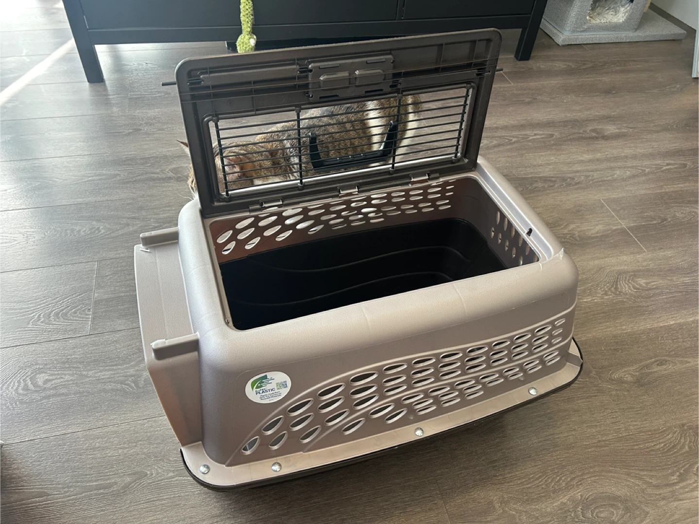 Pet Carrier (Cat not included 🐱) - photo 4