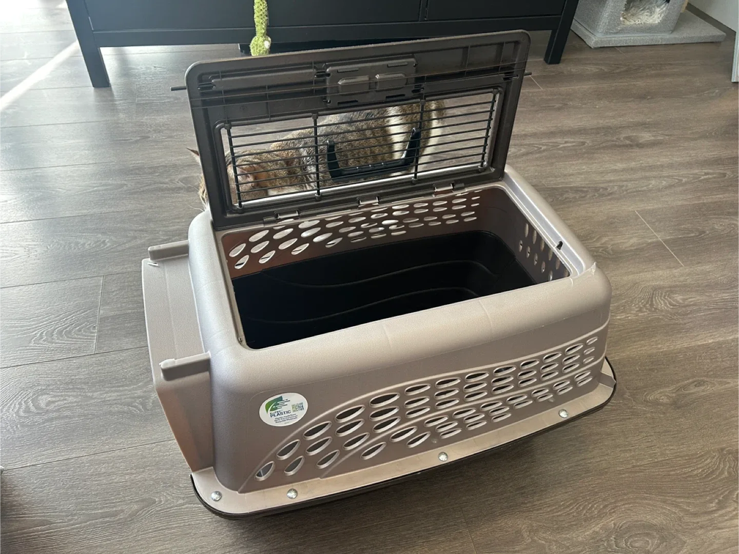 Pet Carrier (Cat not included 🐱) image indicator(4)