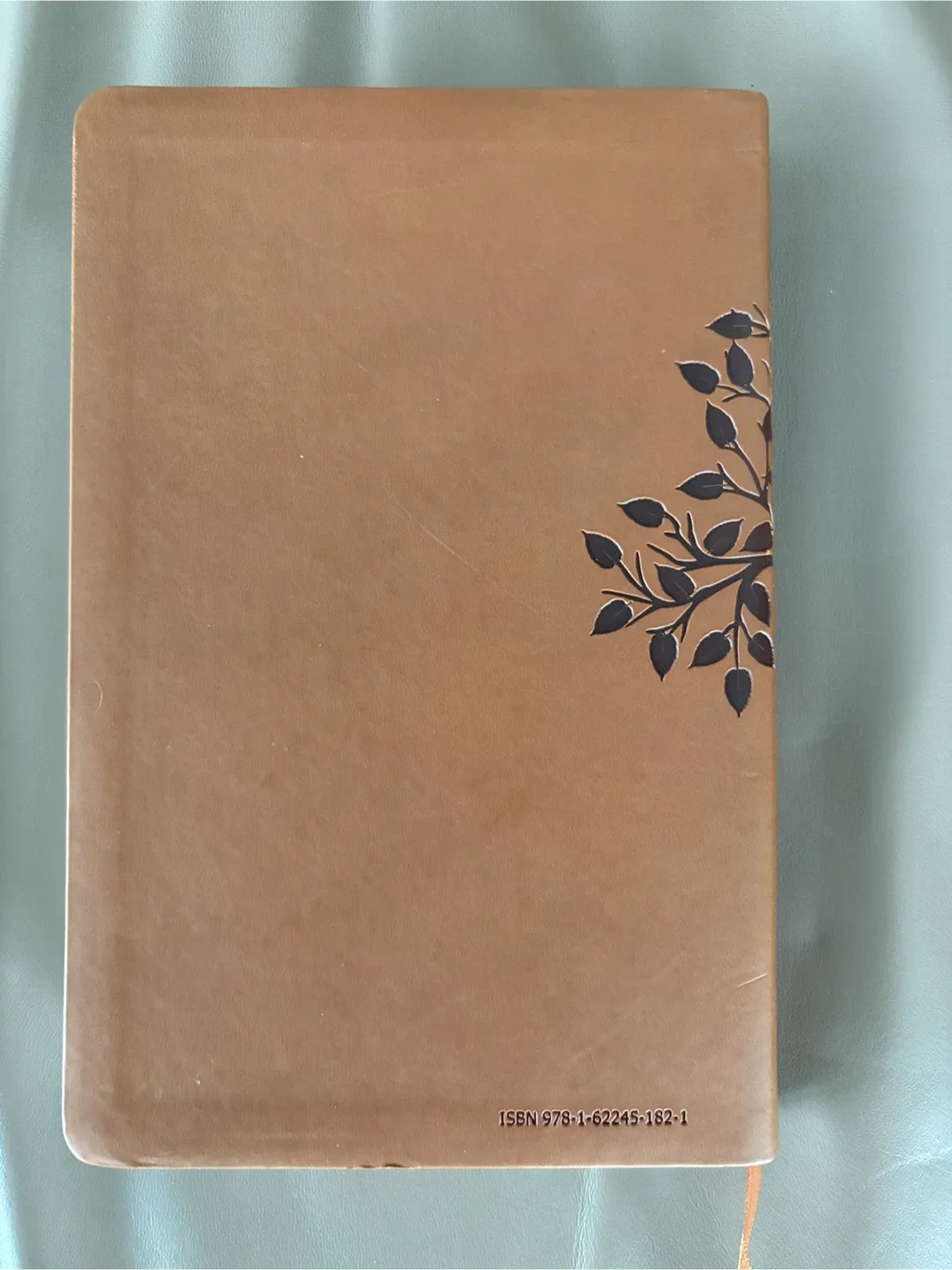 NEW Jubilee Bible: Scriptures from the Reformation image indicator(2)