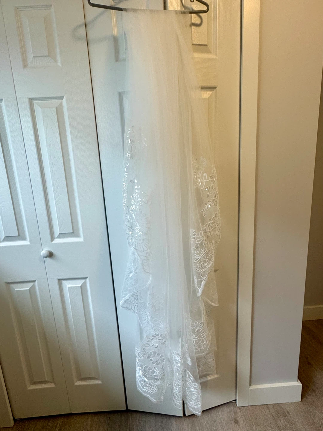 Cathedral Length Bridal Veil