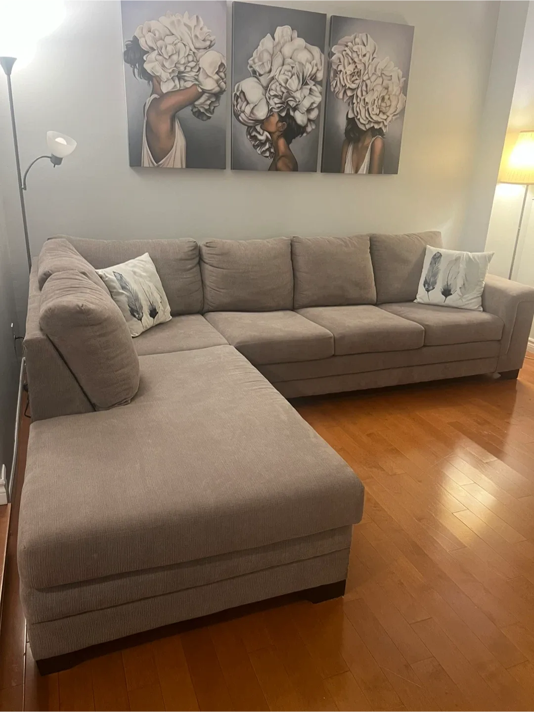 Grey Sectional Sofa image indicator(3)