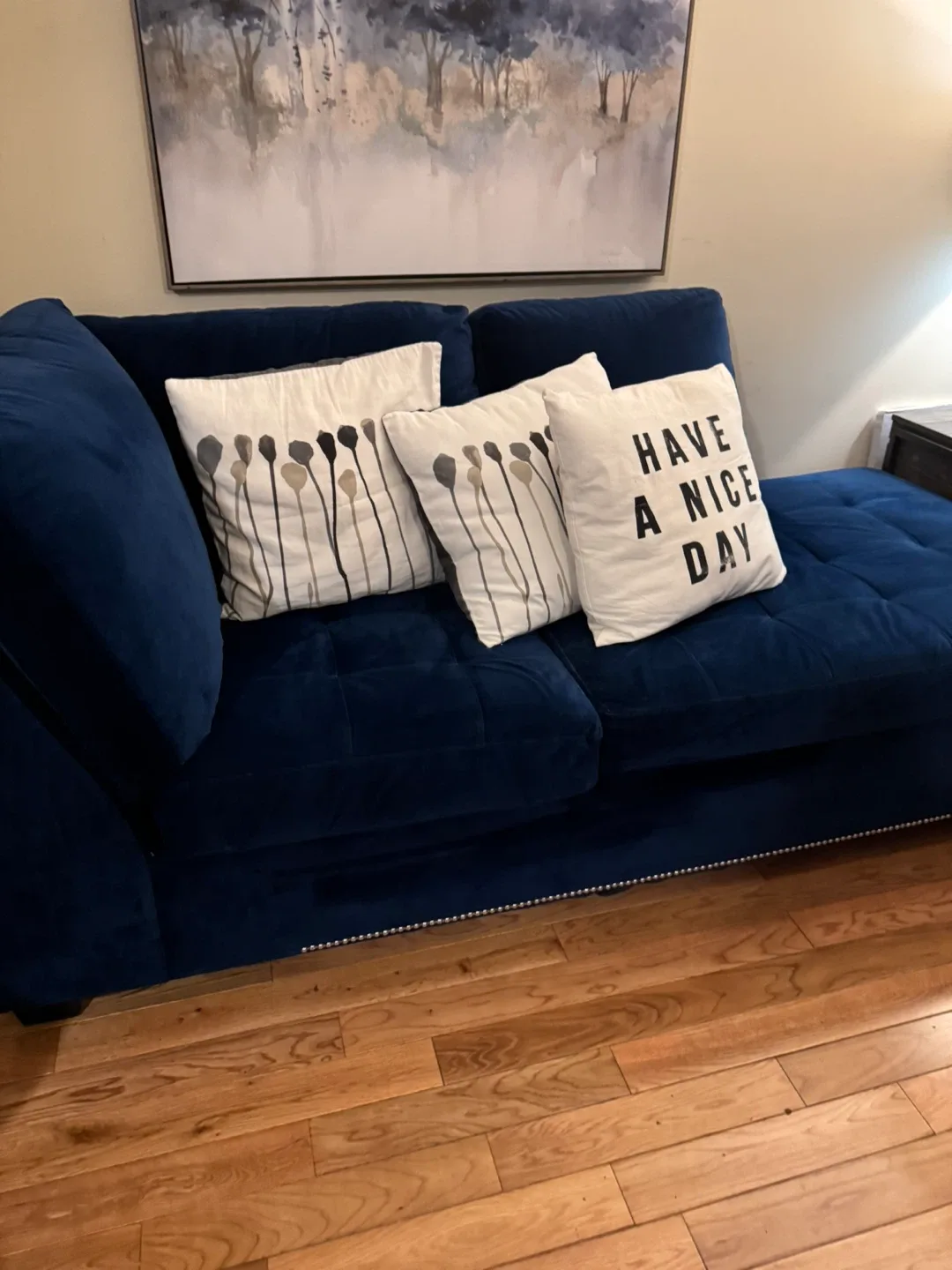 Blue Velvet Sofa with Chaise Lounge image indicator(2)