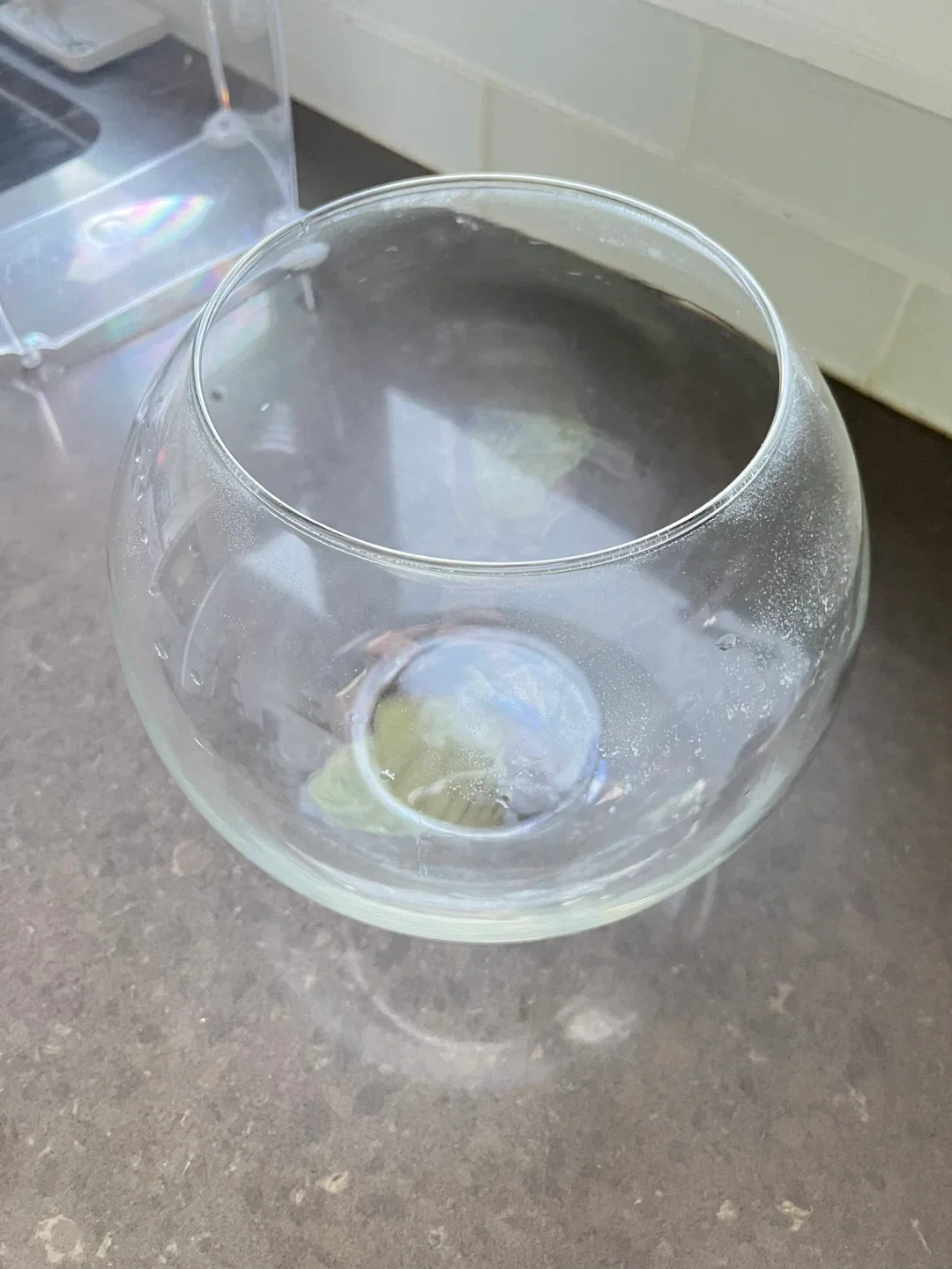 Fish Bowl and Tank Decor image indicator(4)