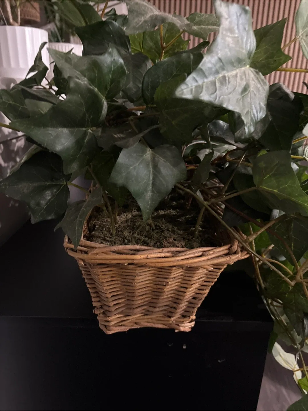 Artificial Ivy Plant in Basket image indicator(2)