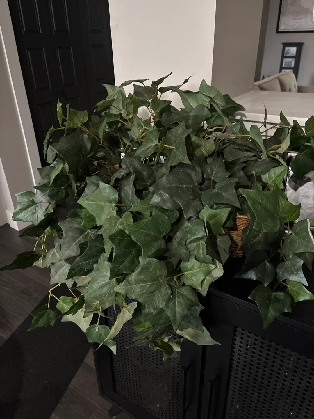 Artificial Ivy Plant in Basket image indicator(3)