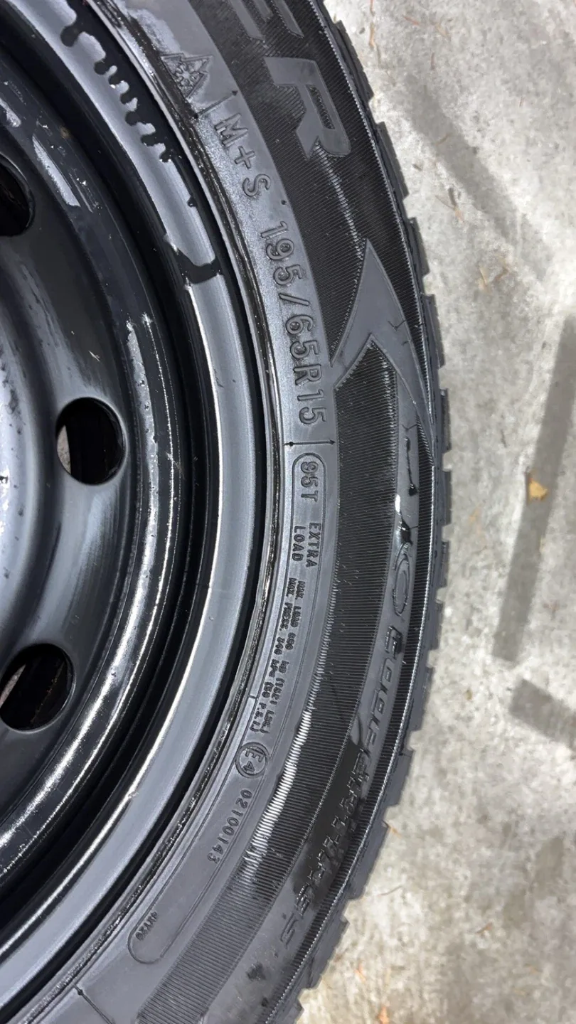 Cooper Evolution Winter Tire 195/65R15