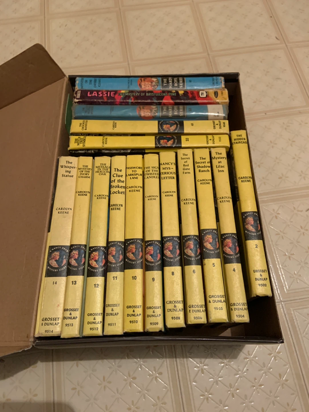 Nancy Drew & Hardy Boys Mystery Books