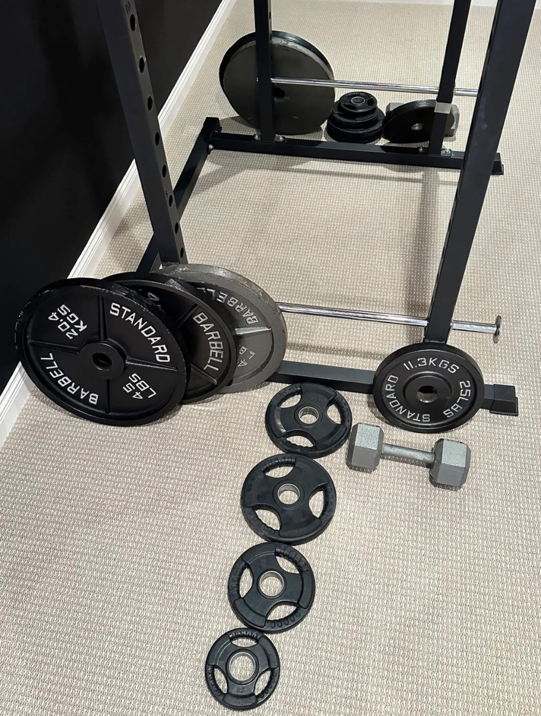 Multiple gym equipments (weight, barbell, squat rack etc) - photo 2