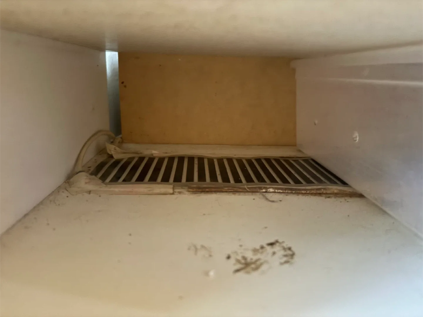 Vivarium Electronics VE-100 Reptile Rack image indicator(4)