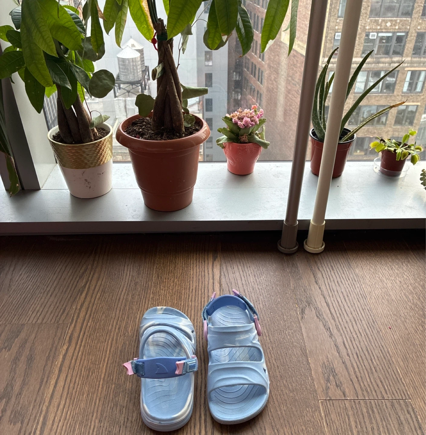 Rugged Shark Kids Toddler Sandals - Size 12 Blue White Adjusts