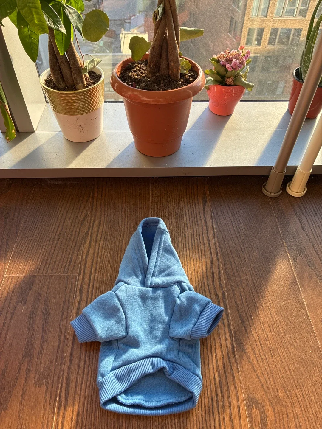 2 Small Pet Hoodies Blue & Pink, + Pet bowl image indicator(3)