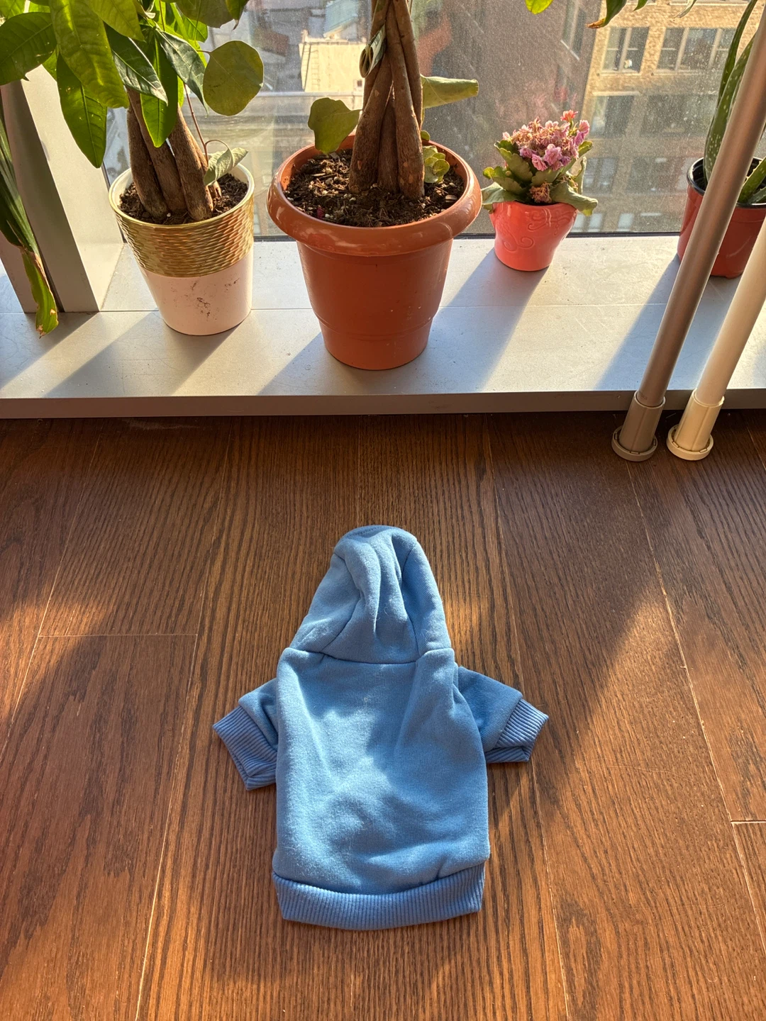 Blue and Pink Small Pet Hoody Dog, Cat, Bunny + bowl - photo 2