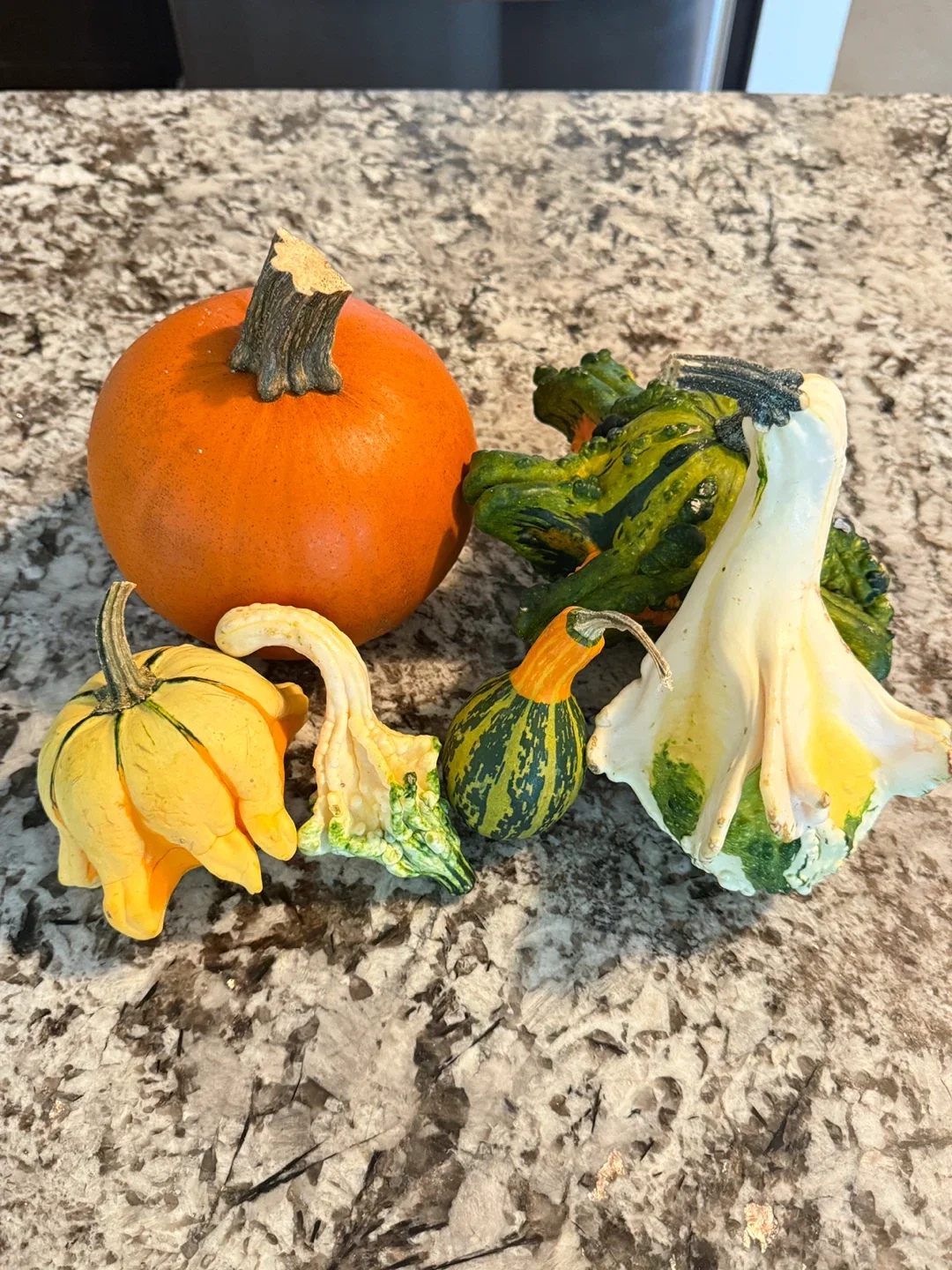 Fall Harvest Decorative Gourds