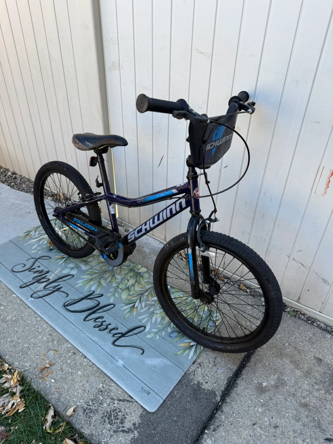 Schwinn Falcon 20-Inch Kids Bike - photo 5