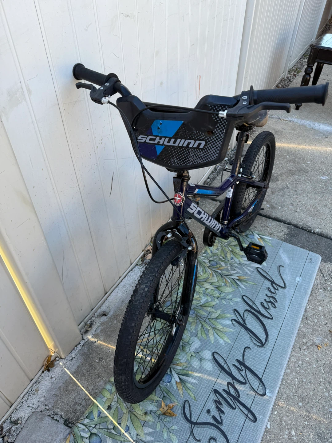 Schwinn Falcon 20-Inch Kids Bike - photo 3
