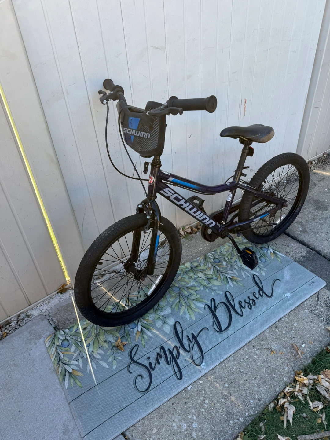 Schwinn Falcon 20-Inch Kids Bike - photo 2