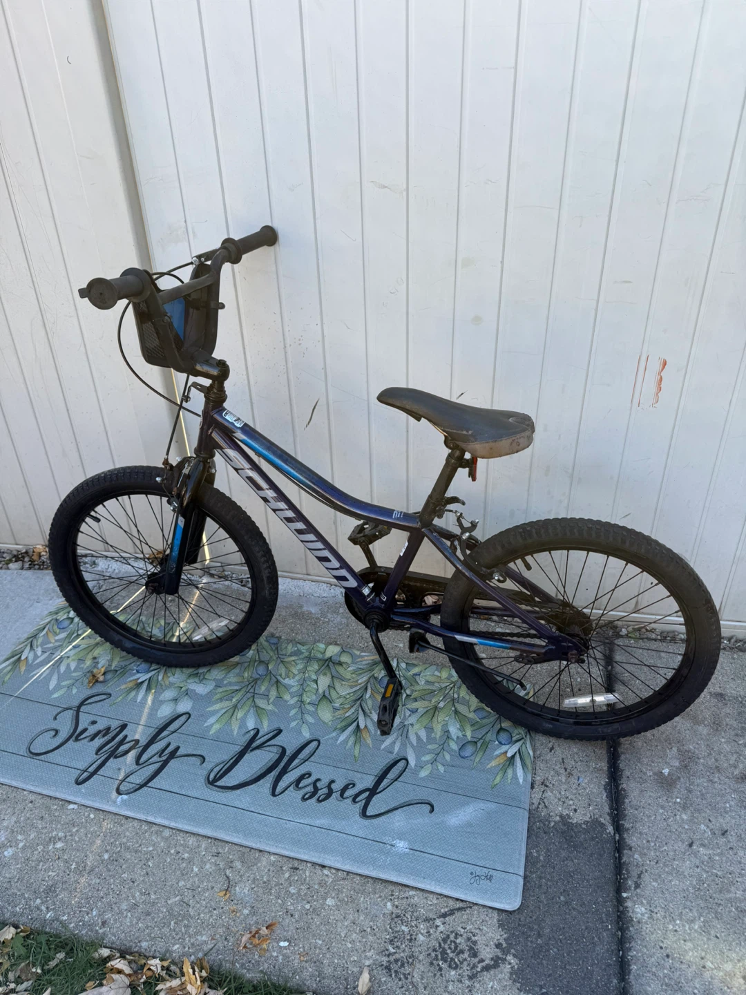 Schwinn Falcon 20-Inch Kids Bike