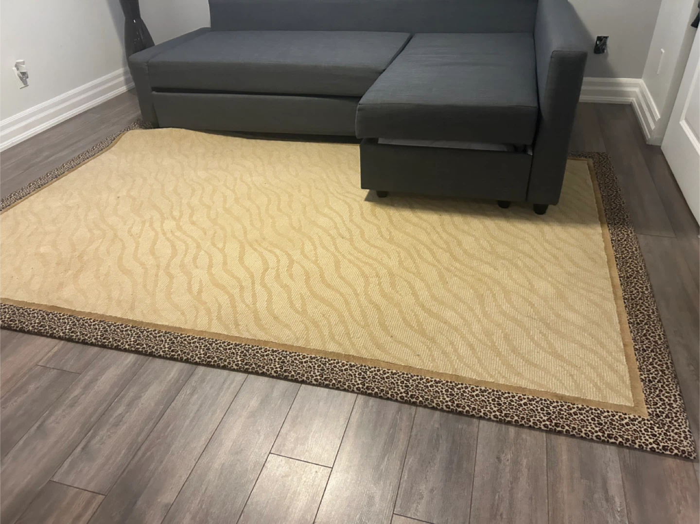 Area Rug - Beige with Leopard Print Border - photo 5