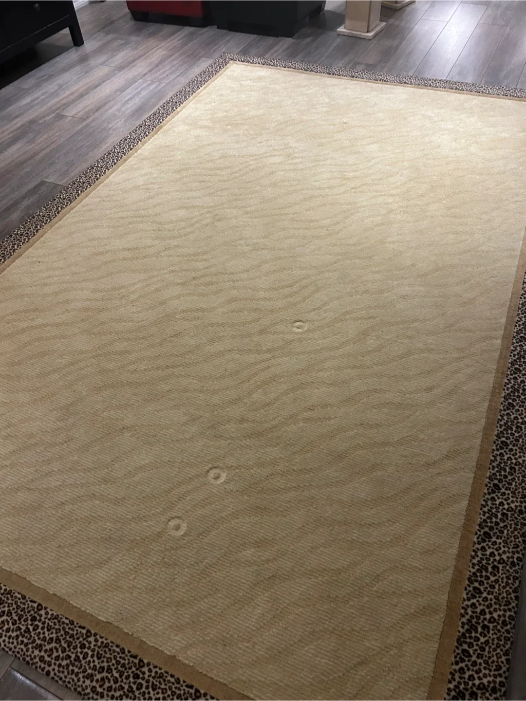 Area Rug - Beige with Leopard Print Border image indicator(4)