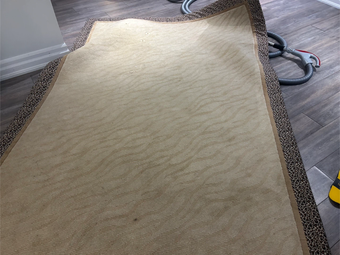 Area Rug - Beige with Leopard Print Border - photo 3