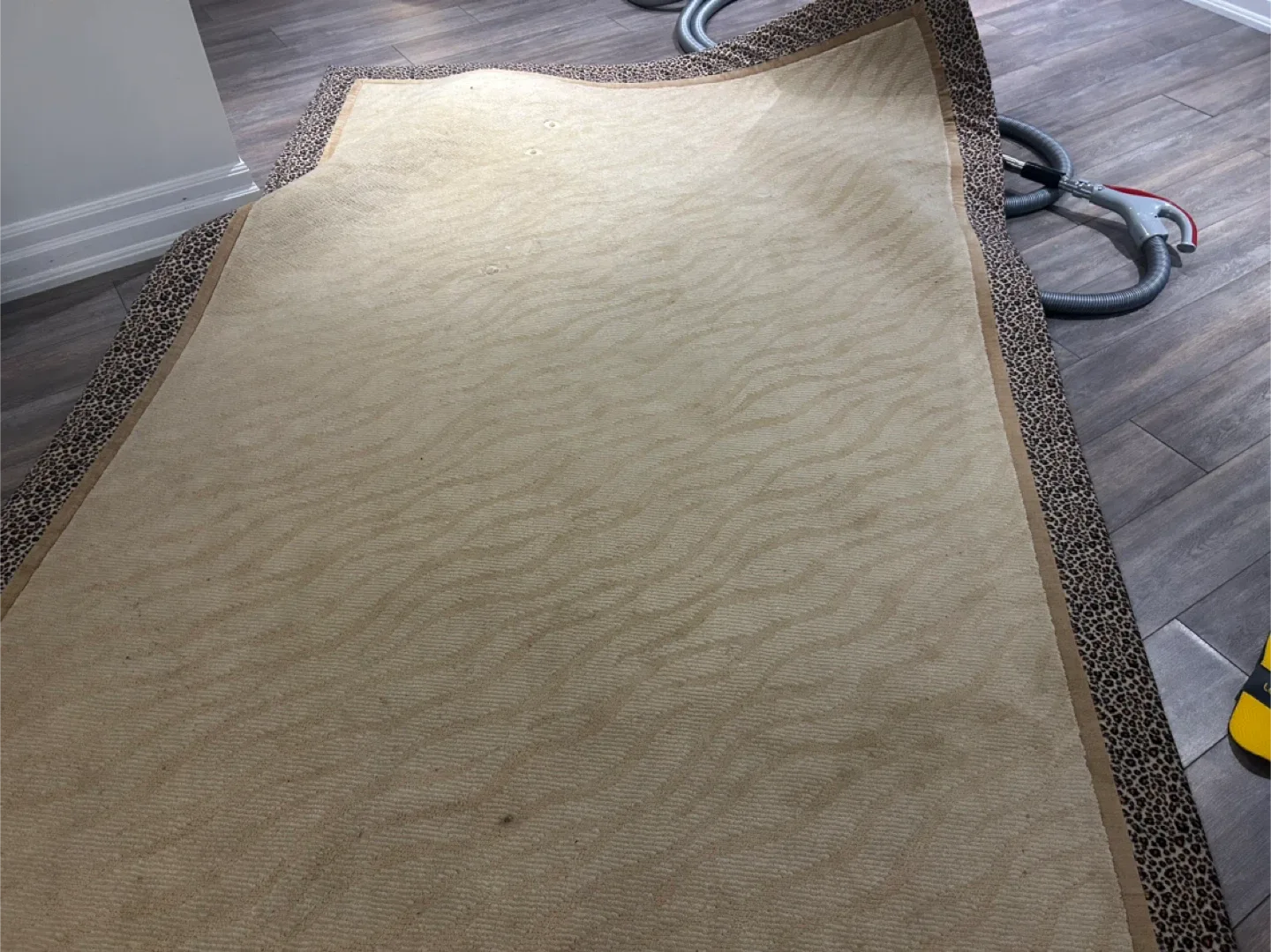 Area Rug - Beige with Leopard Print Border image indicator(3)