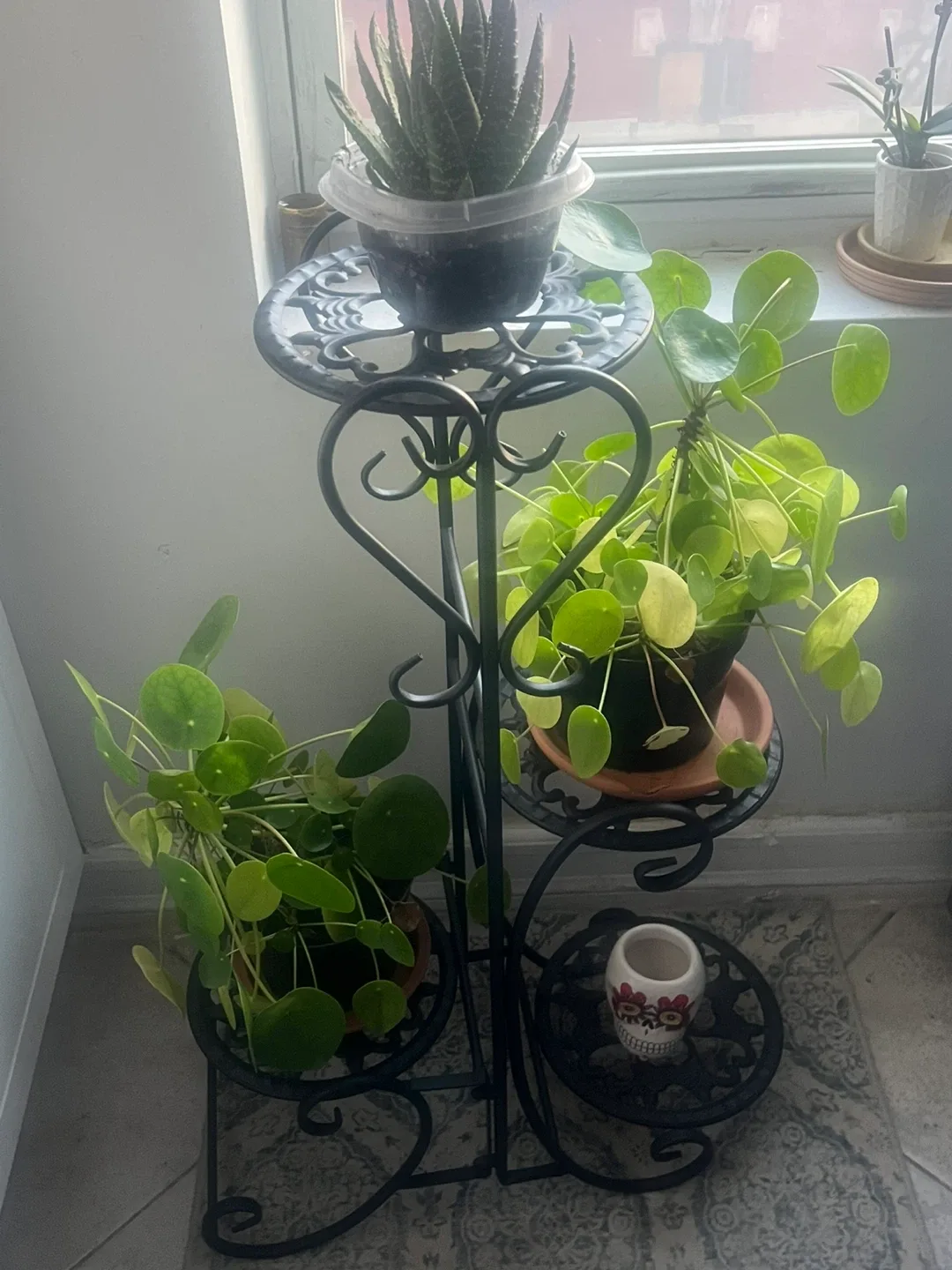 Metal Plant Stand - Black