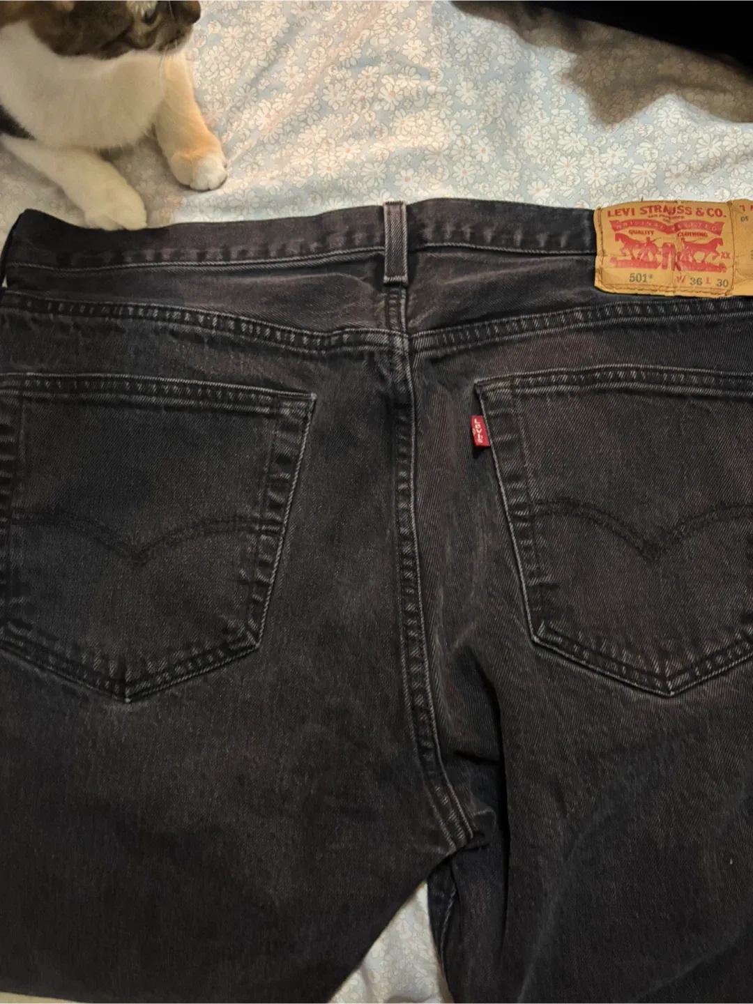 Levi's 501 Jeans, W36 L30 image indicator(2)