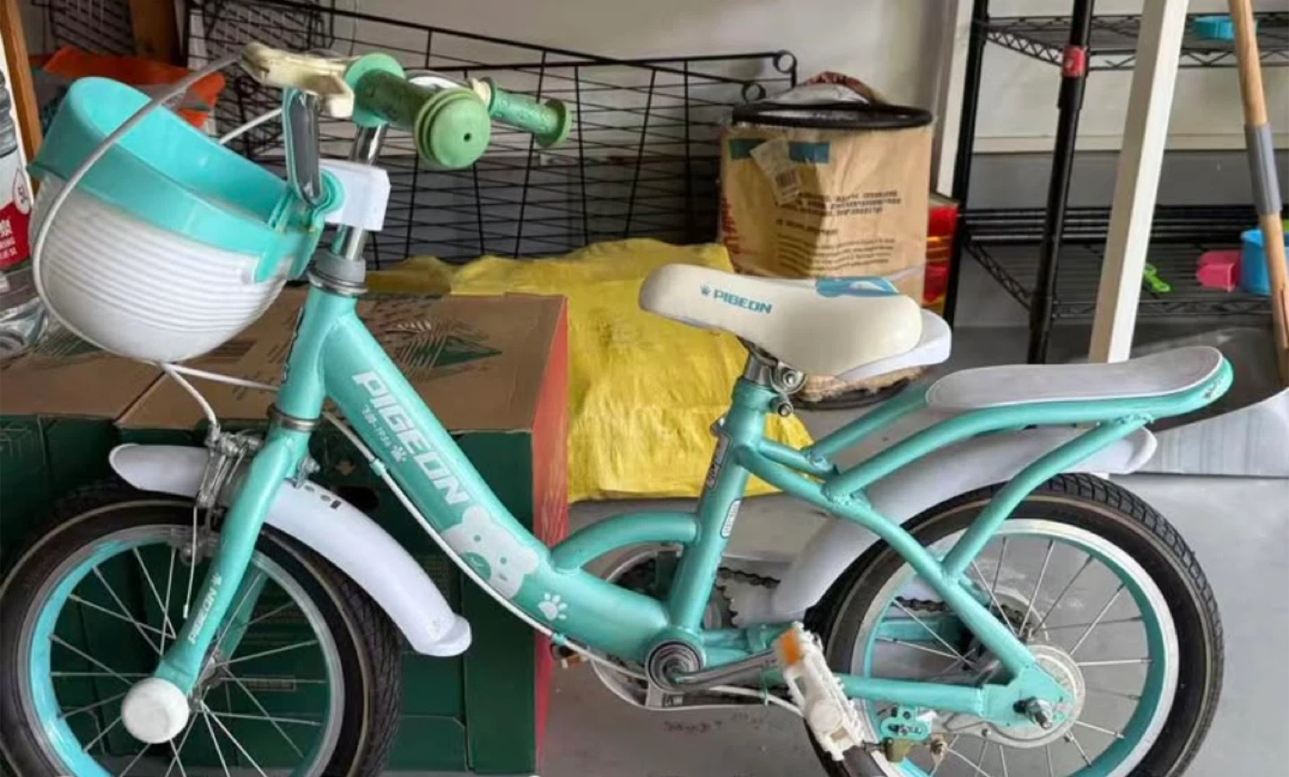 Pigeon Kids Bike - Turquoise - photo 2