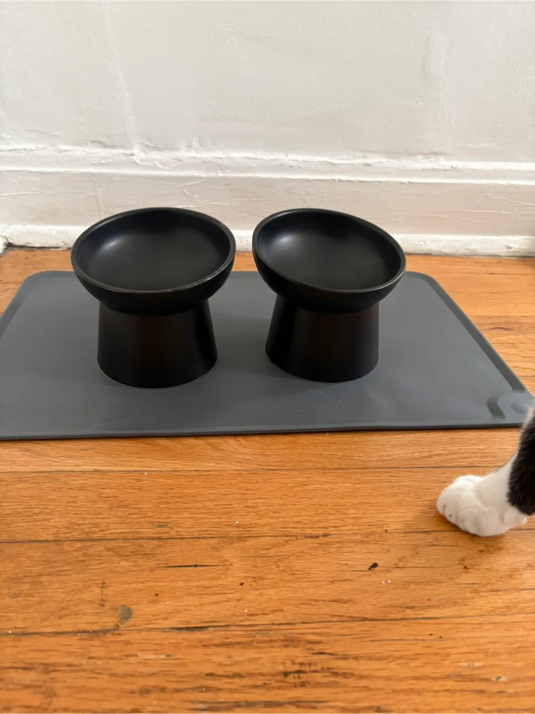Black Elevated Cat Bowls image indicator(2)