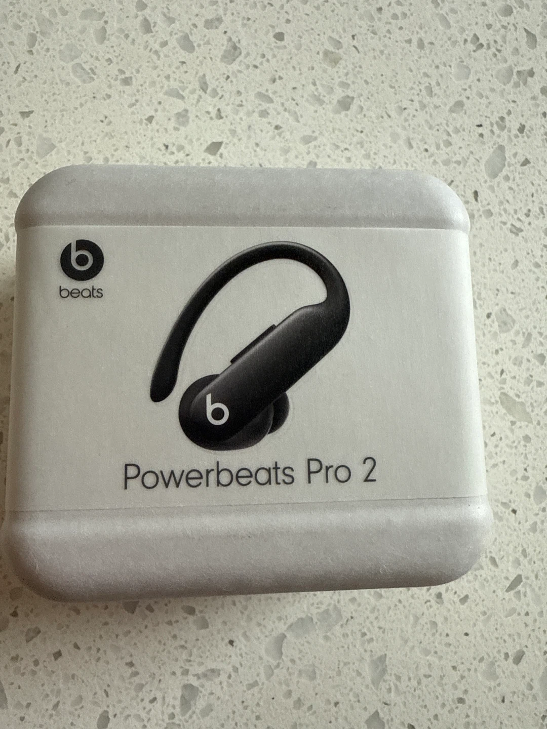 Beats Powerbeats Pro 2 Earbuds - Jet Black