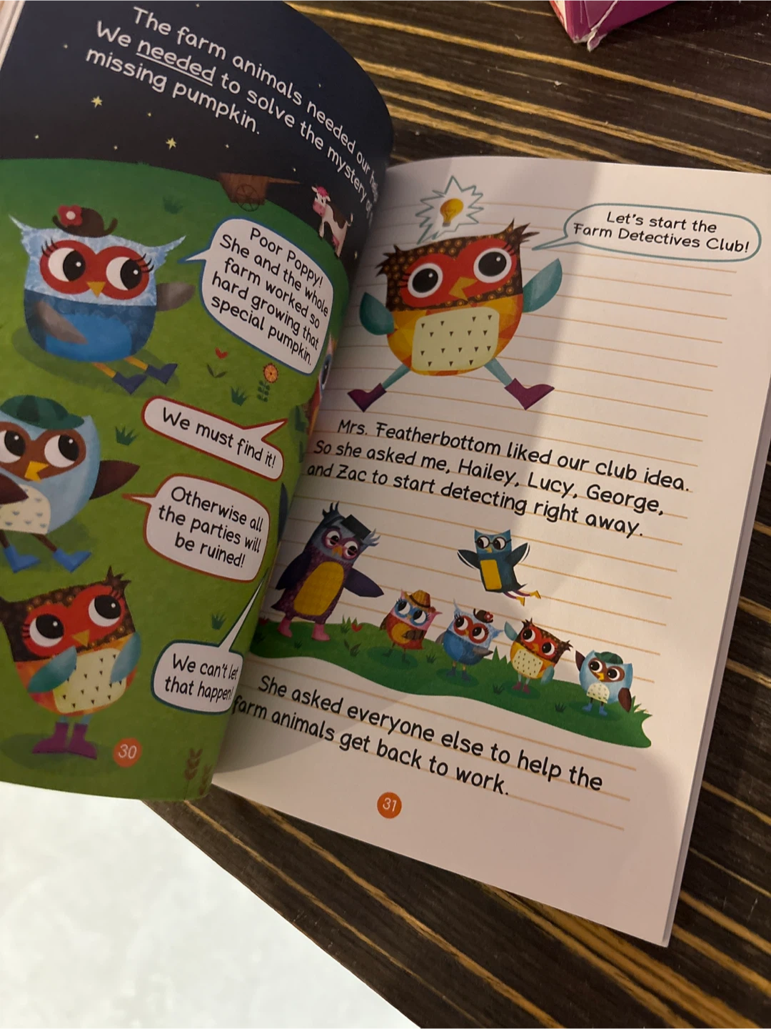 Owl Diaries, Rebecca Elliott, 10 Book Set - photo 4