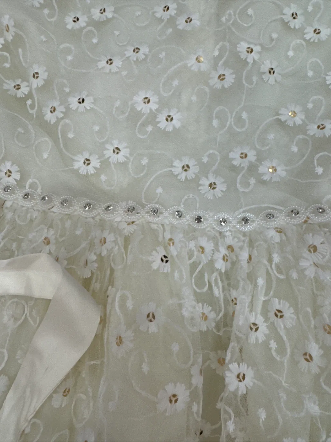 Floral Embroidered Dress image indicator(2)