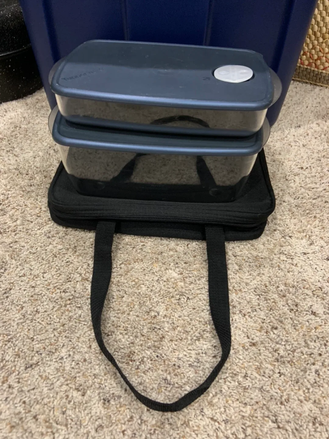 Tupperware Set with Carrier