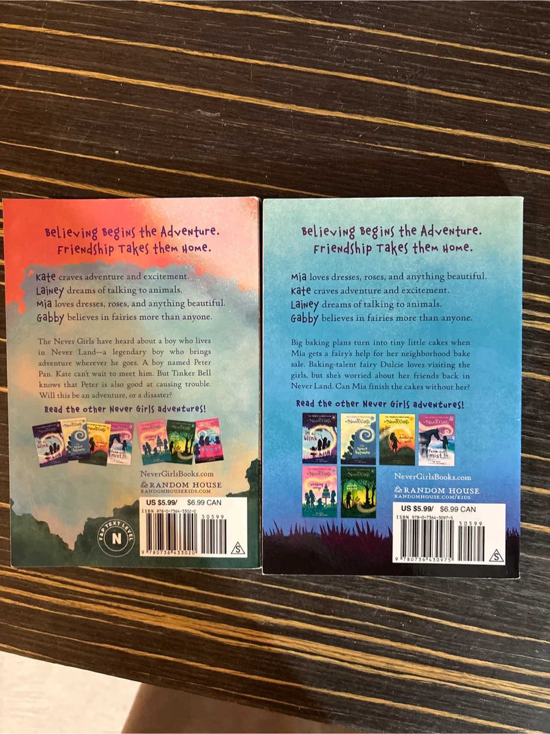 The Never Girls Books by Kiki Thorpe image indicator(2)