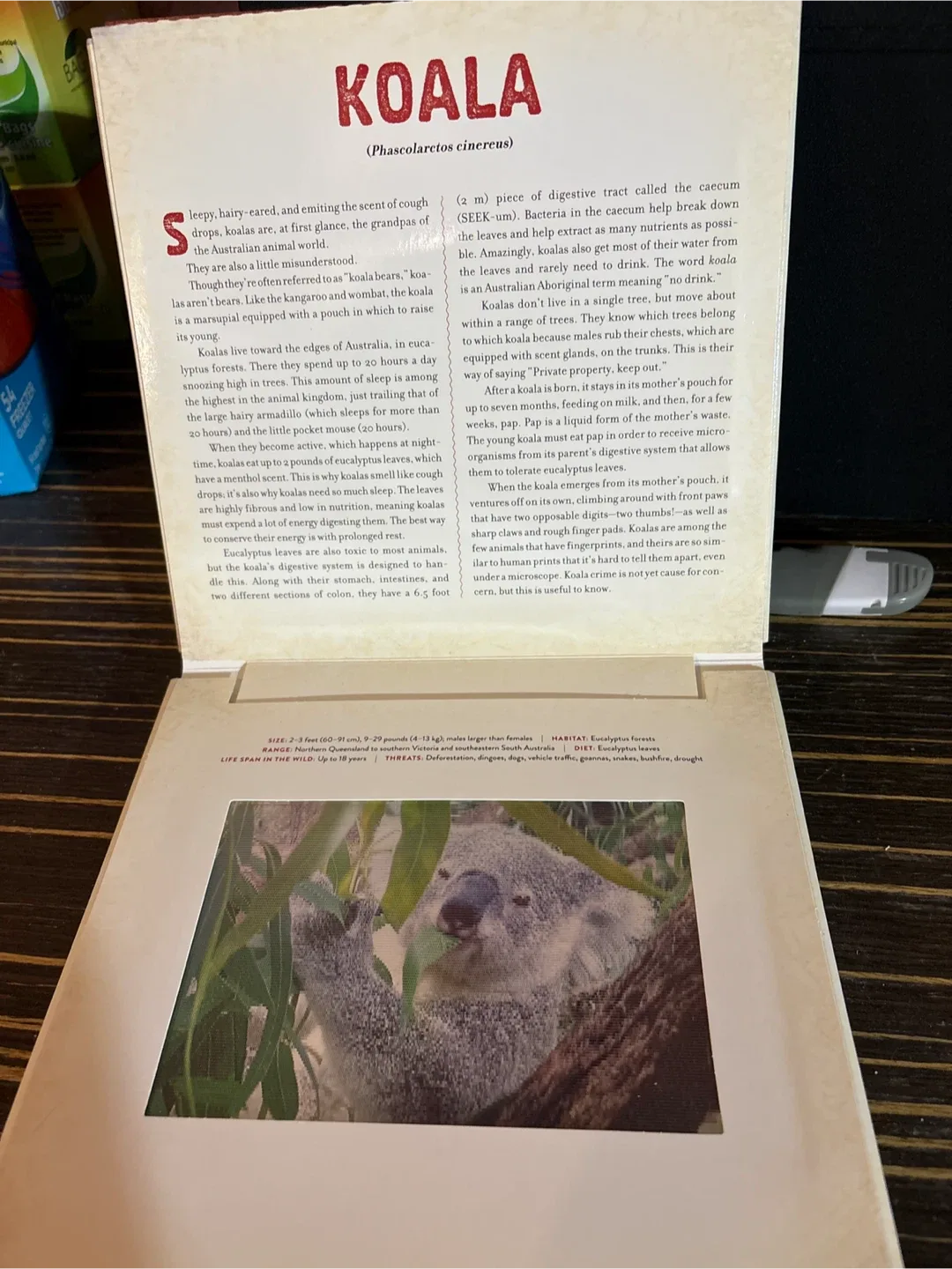 Outback: Amazing Animals of Australia Photicular Book image indicator(2)