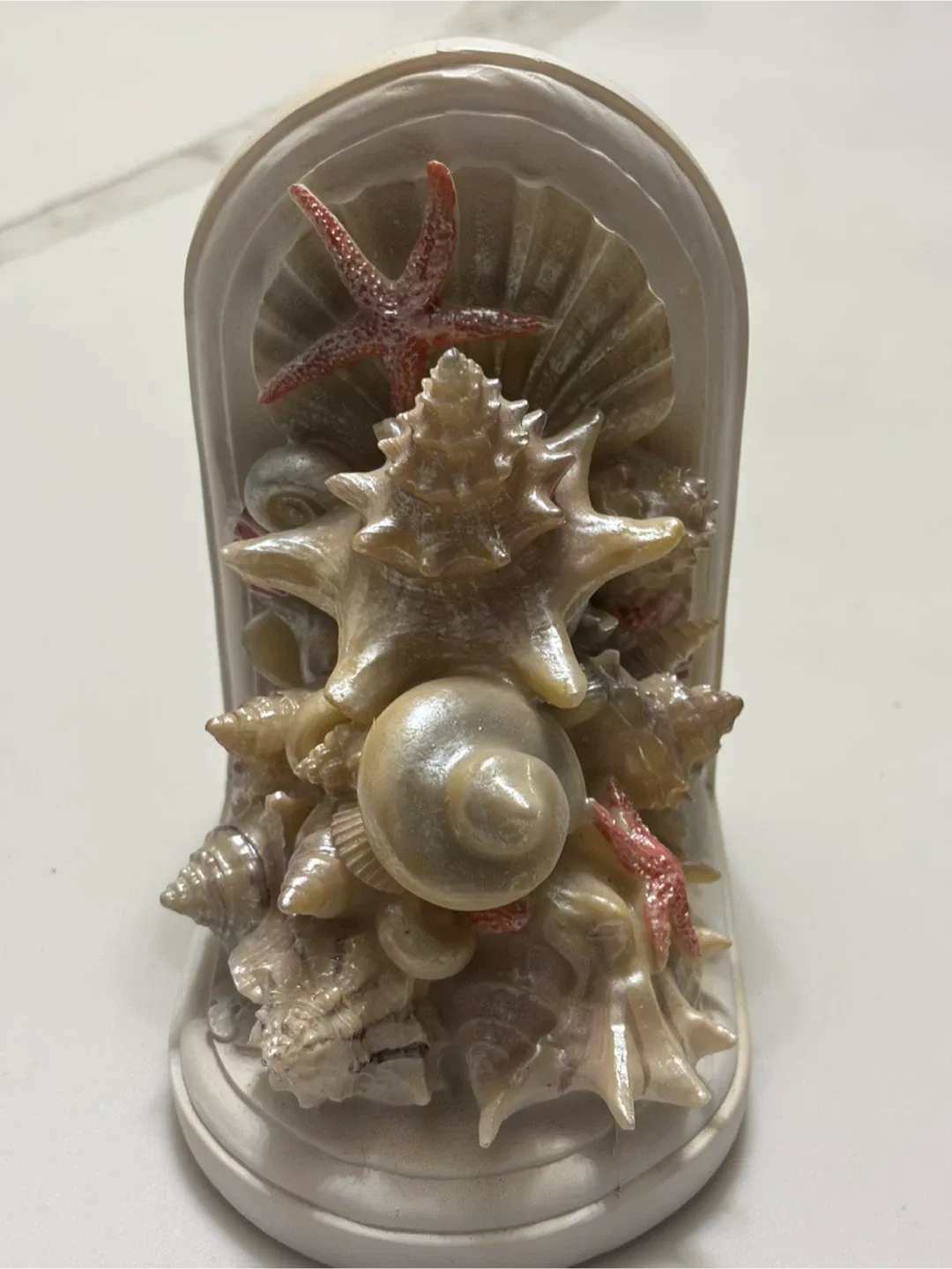 Seashell Decorative Ornament