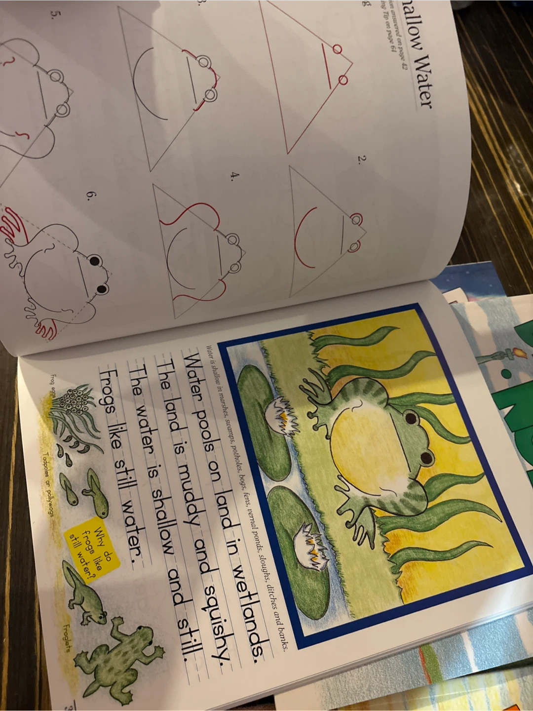 Draw Write Now Books Set by Marie Hablitzel - photo 4