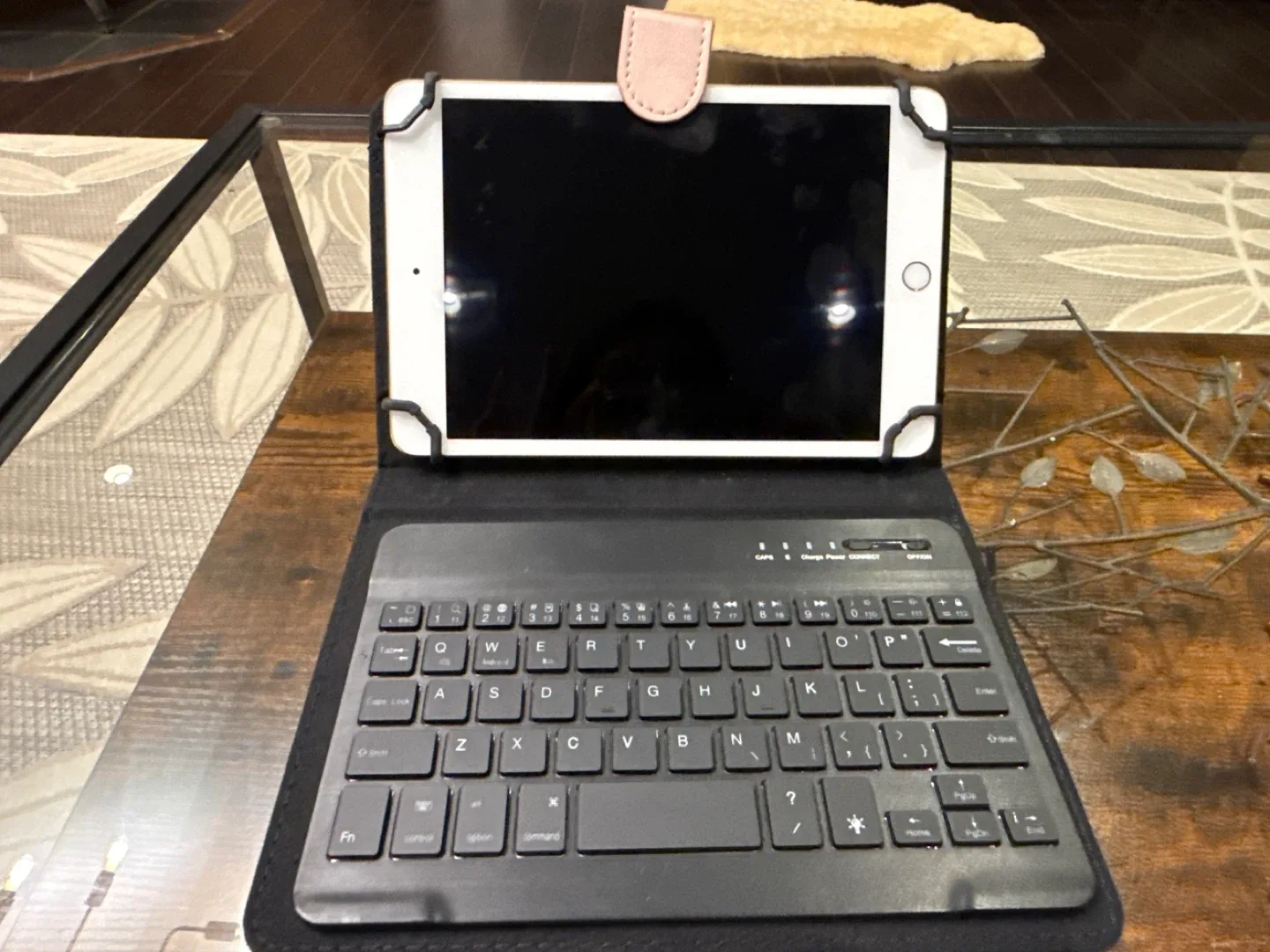 iPad mini 4 with Keyboard Case image indicator(2)