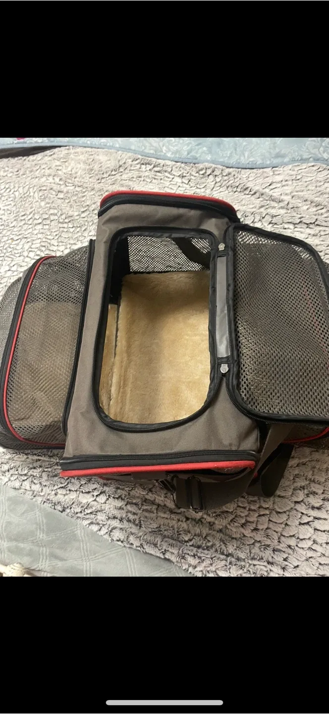 Pet carry bag image indicator(6)