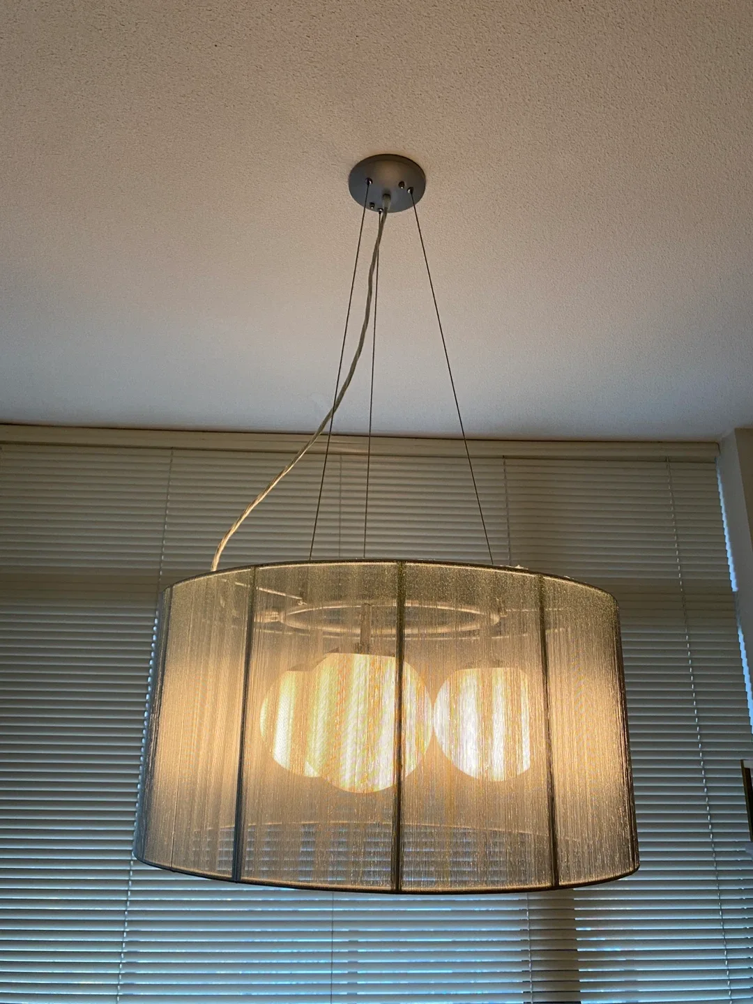 EQ3 Hanging Drum Shade Chandelier and Pendant image indicator(3)